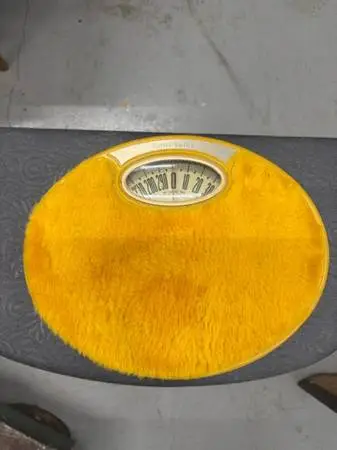 counselor bathroom scale - works