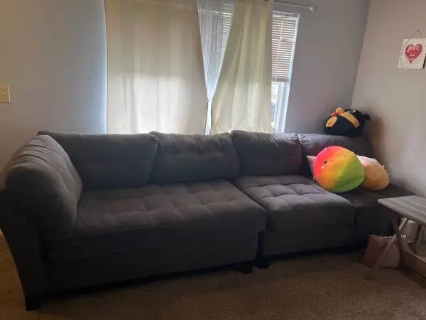 Couches for sale
