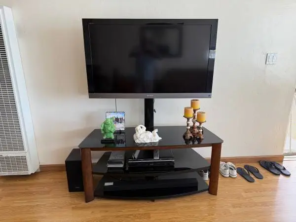 Stand and T V Sony 55 inch
