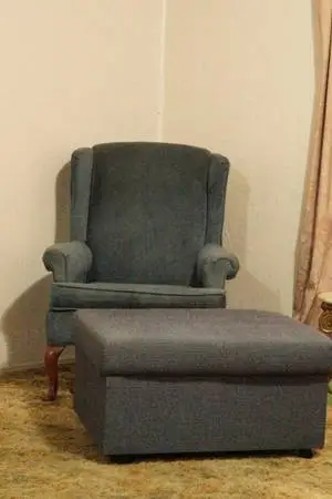 Living Room Accent Armchair w/Ottoman