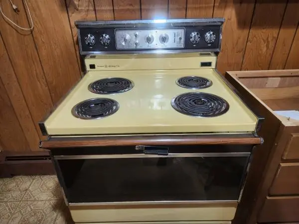 Old Appliances mint and working Stove Fridge and dishwasher