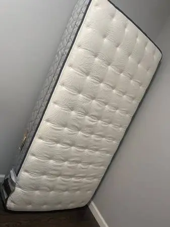 Sealy Twin Mattress Firm 55 x 38 x 11 Pick Up Cash OBO