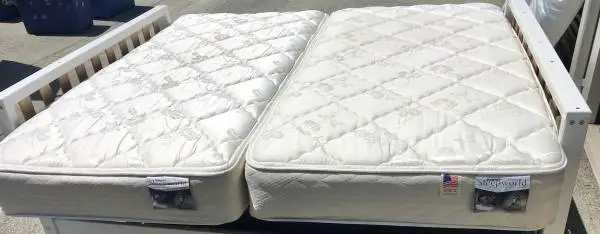 ***(2) Twin Mattresses ***