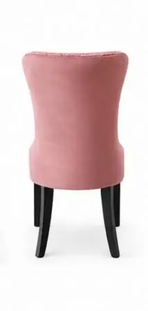 Friedrun velvet dining chair pair