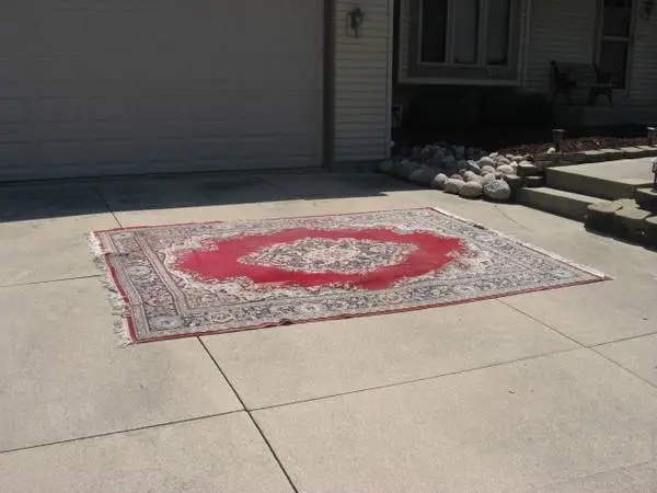 8 x 10 Oriental Rug