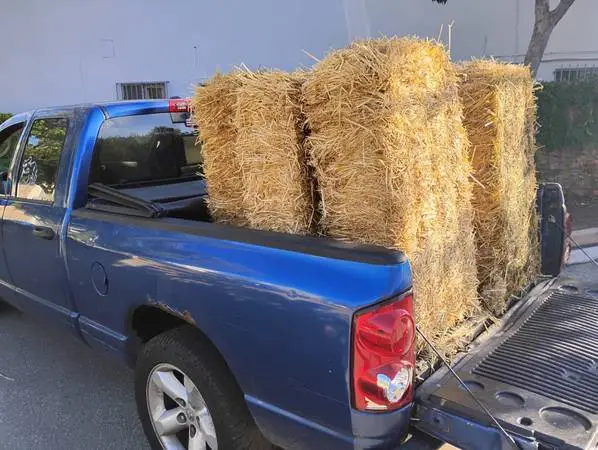 FILL THE PICKUP