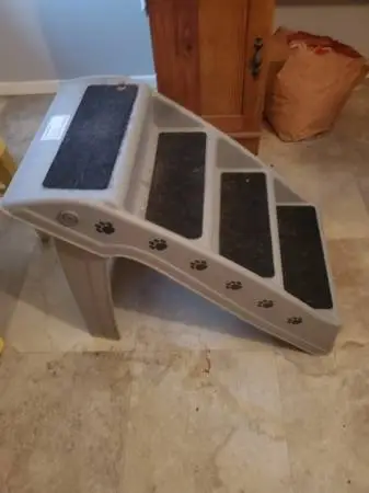 Doggy steps