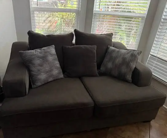 Love seat couch