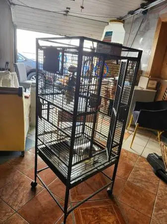 Bird Cage, Black,