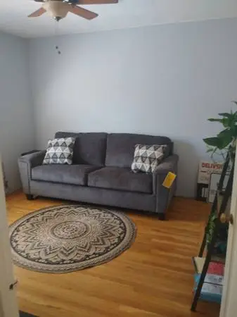 Gray Queen Sofa Sleeper