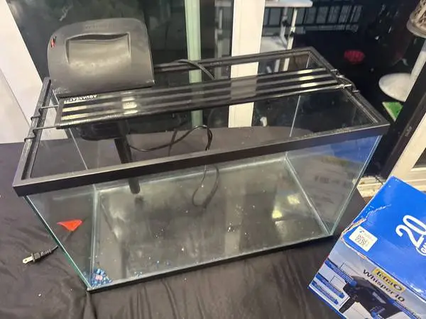 20 Gallon Fish tank with light and filter included