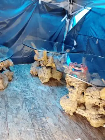 4 manzanita burl tables