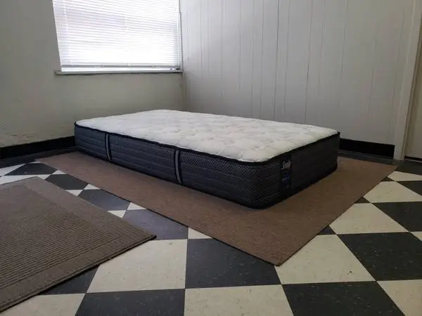 Twin size mattress - can DELIVER almost anywhere for $20 extra