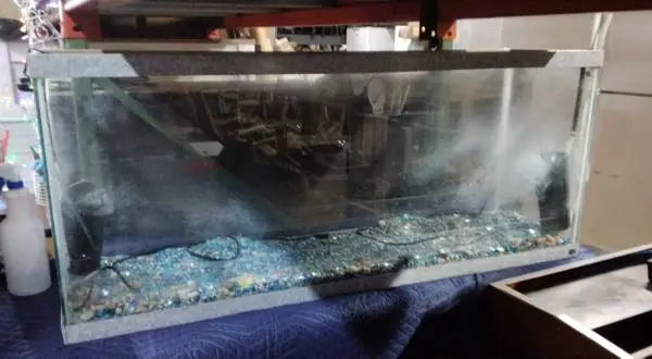 55 Gallon Fish Aquarium