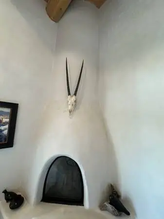 Wall mount oryx gazelle skull and horn