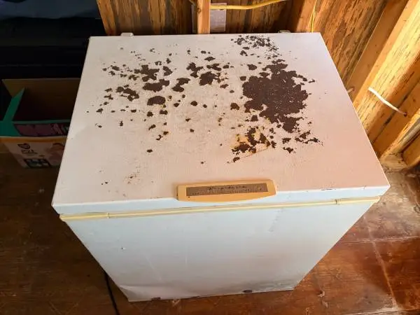 Deep freezer