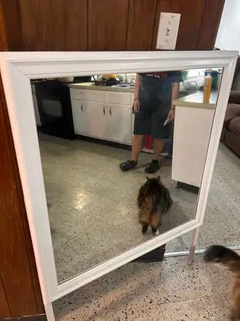 Very good condition mirror for dreeser