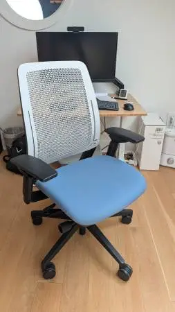 Steelcase Amia Office Chair