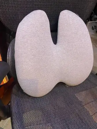 Cushion Lab Extra Dense Lumbar Pillow