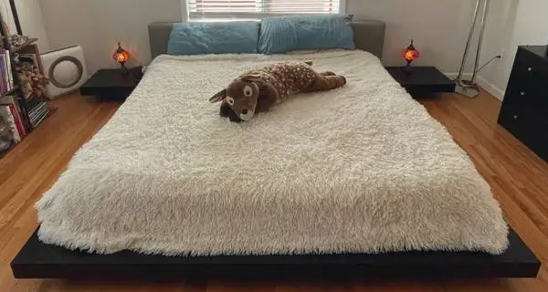 King Platform Bed