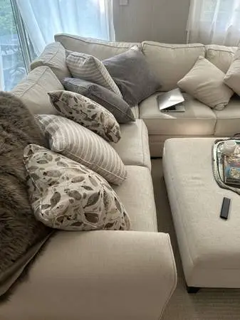6 goose down accent pillows