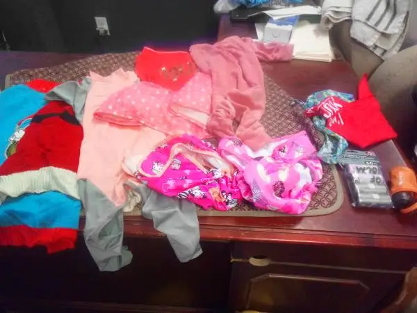 Medium size dog clothing and dog items lot
