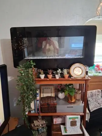 Insert electric fire place heater