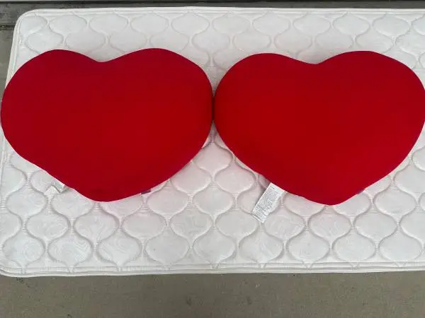 Two decorative soft pillows