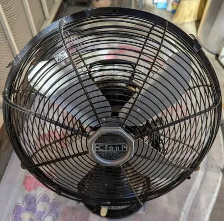 Fan – Cinni - Black