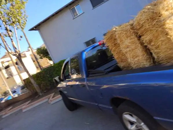 ImI have a truck $50