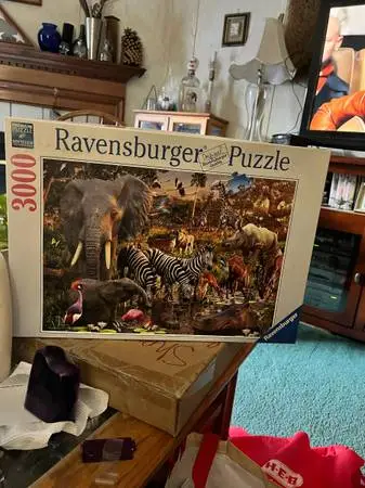 3000 RAVENSBURGER PUZZLE