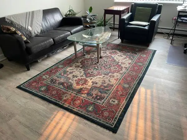 Area Rug