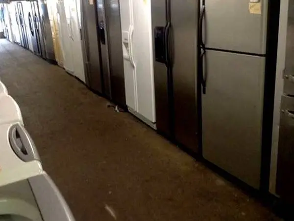 Kitchen side by side refrigerator different conditions