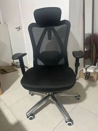 Sihoo Ergonomic Office Chair with Soft Cushion & Spine Support