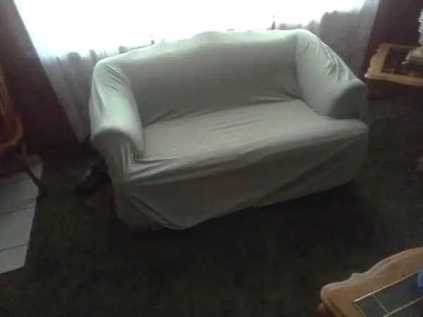 2 couch covers sage