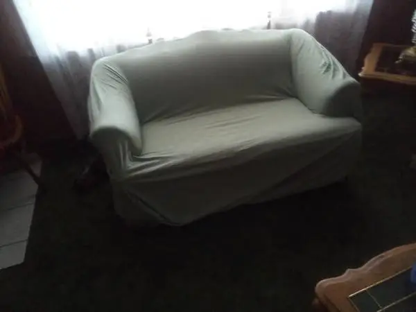 2 couch covers sage