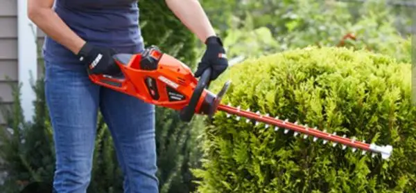 Echo hedge trimmers