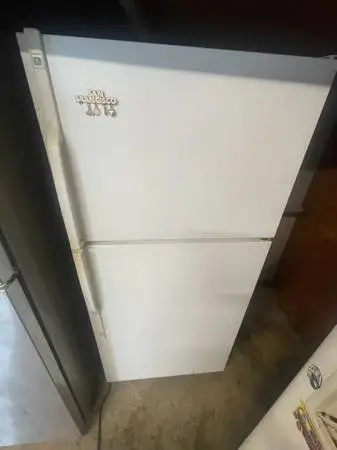 Top frezee refrigerator