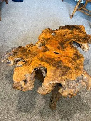 Buckeye Burl Coffee Table