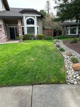 🌴🌿AFFORDABLE LAWN SERVICE MOWING EDGING BLOWING FERTILIZER BARK