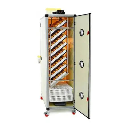 Large Incubator