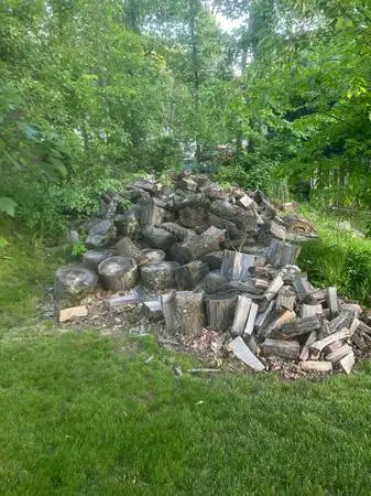 Wanted any FREE fire wood or COAL