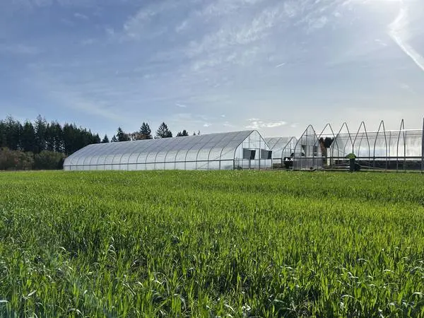 Greenhouse Kits