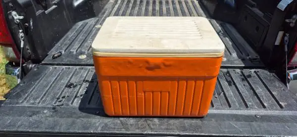 36 quart cooler