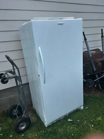 Stand up freezer. Free