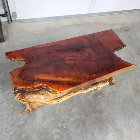 Gorgeous Carved Burl Art Piece Bench/Coffee Table