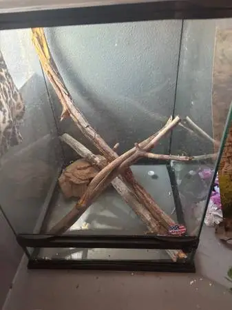 18x18x36 reptile tank