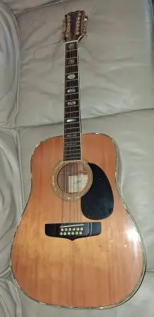 12-string guitar • hand-built • Fenix by Young Chang