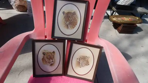 BIG CAT PICTURES FRAMED (3) LION, LEOPARD, JAGUAR 8 X 10S