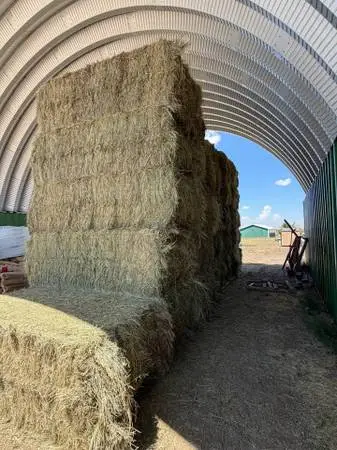Grass 3x4 Bales